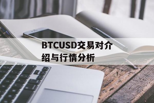 BTCUSD交易对介绍与行情分析