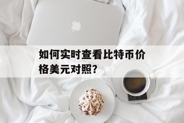 如何实时查看比特币价格美元对照？