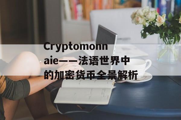 Cryptomonnaie——法语世界中的加密货币全景解析