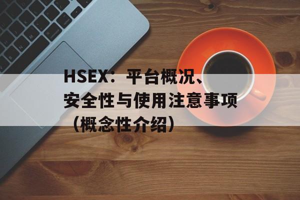 HSEX:平台概况、安全性与使用注意事项(概念性介绍)