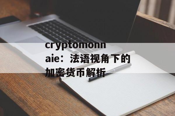 cryptomonnaie:法语视角下的加密货币解析