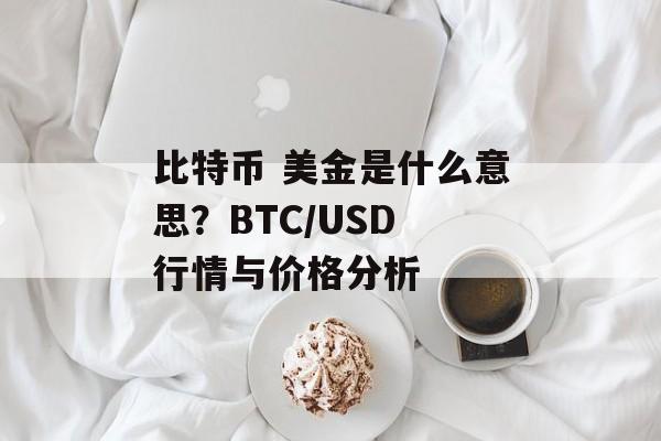比特币 美金是什么意思?BTC/USD 行情与价格分析